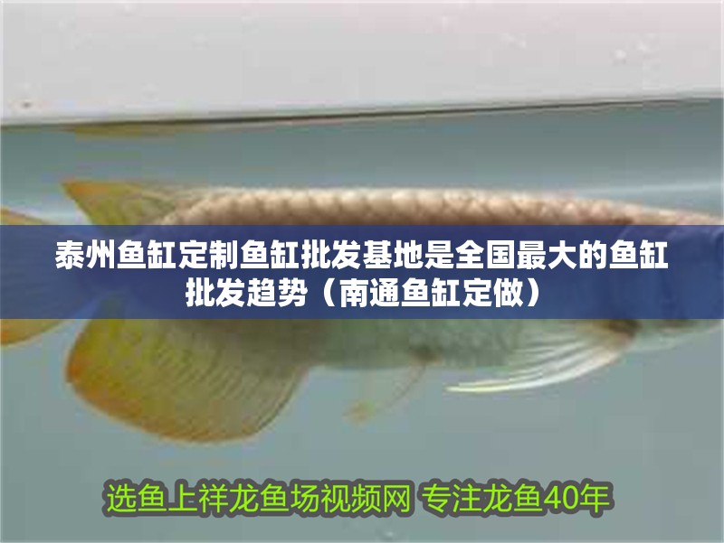 <strong><mark>泰州</mark></strong>魚缸定制魚缸批發基地是全國最大的魚缸批發趨勢（南通魚缸定做）
