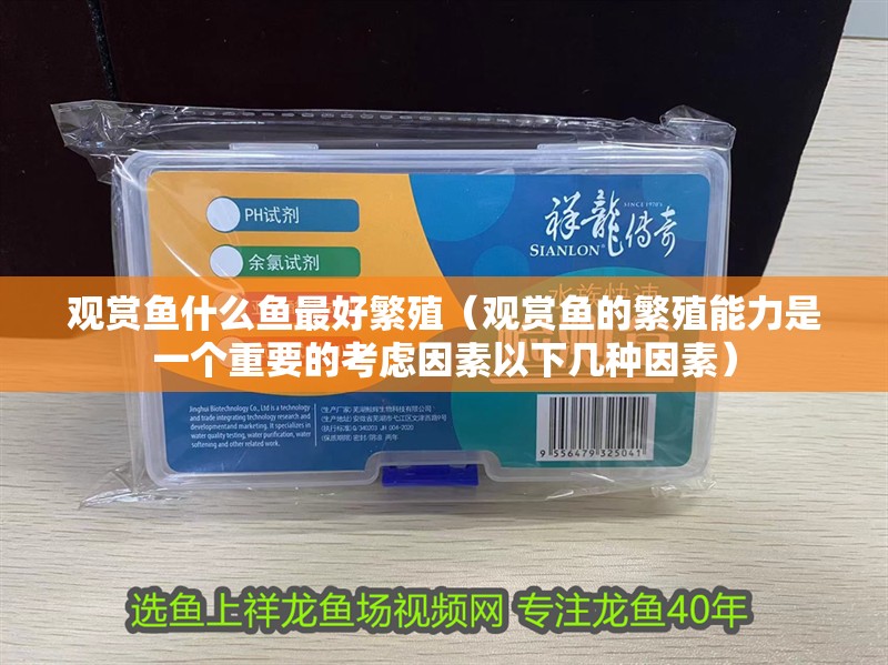 觀賞魚什么魚最好繁殖（觀賞魚的繁殖能力是一個重要的考慮因素以下幾種因素）