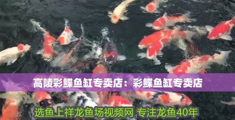 高陵彩鰈魚缸專賣店：彩鰈魚缸專賣店