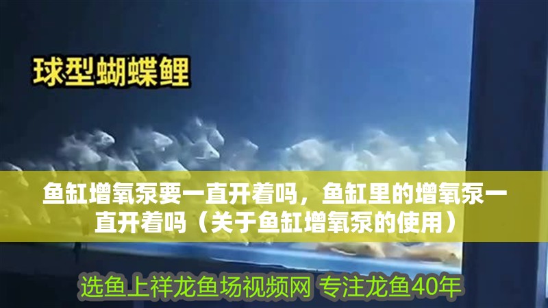 魚缸增氧泵要一直開著嗎，魚缸里的增氧泵一直開著嗎（關于魚缸增氧泵的使用）