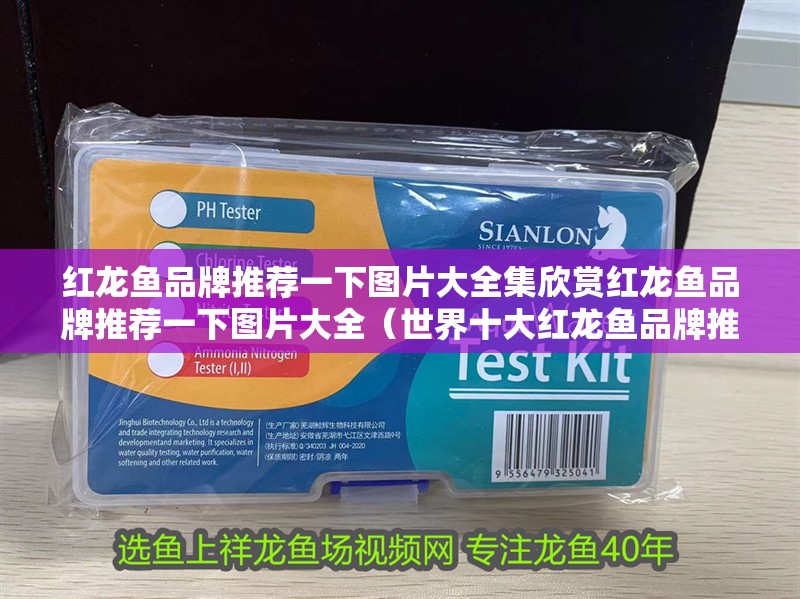 紅龍魚品牌推薦一下圖片大全集欣賞紅龍魚品牌推薦一下圖片大全（世界十大紅龍魚品牌推薦）