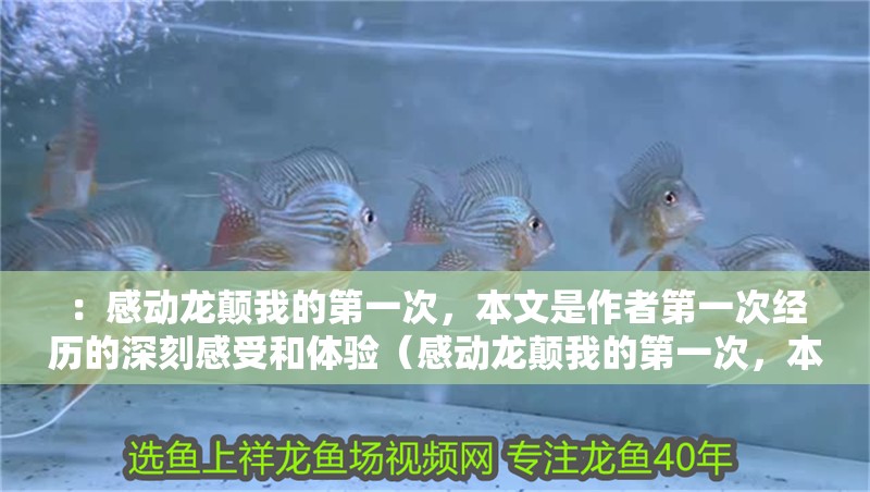 ：感動龍顛我的第一次，本文是作者第一次經歷的深刻感受和體驗（感動龍顛我的第一次，本文是關于其第一次經歷的深刻感受和體驗的記錄）
