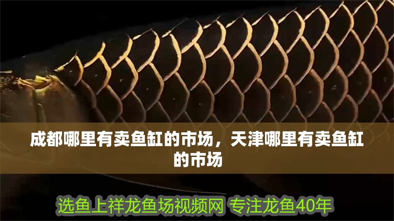 成都哪里有賣魚缸的市場，天津哪里有賣魚缸的市場