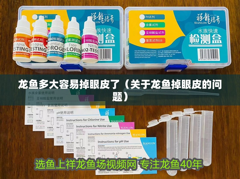 龍魚多大容易掉眼皮了（關于龍魚掉眼皮的問題）