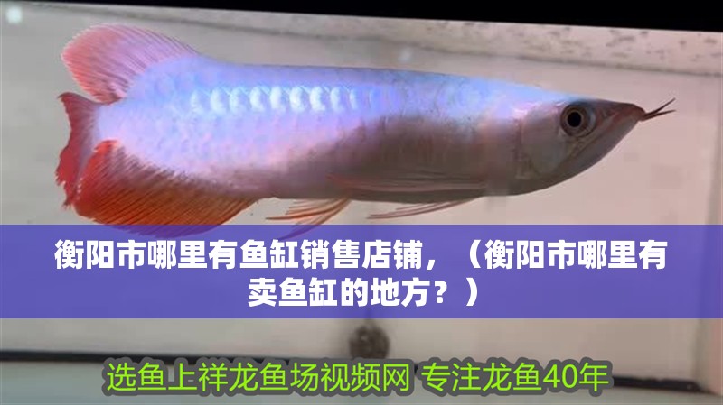 衡陽市哪里有魚缸銷售店鋪，（衡陽市哪里有賣魚缸的地方？）