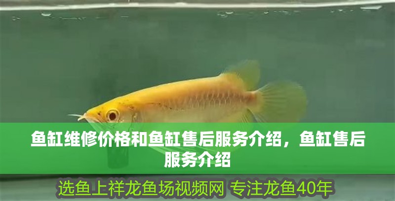 魚(yú)缸維修價(jià)格和魚(yú)缸售后服務(wù)介紹，魚(yú)缸售后服務(wù)介紹