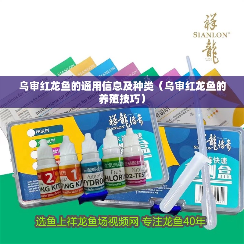 烏審紅龍魚的通用信息及種類(烏審紅龍魚的養殖技巧)