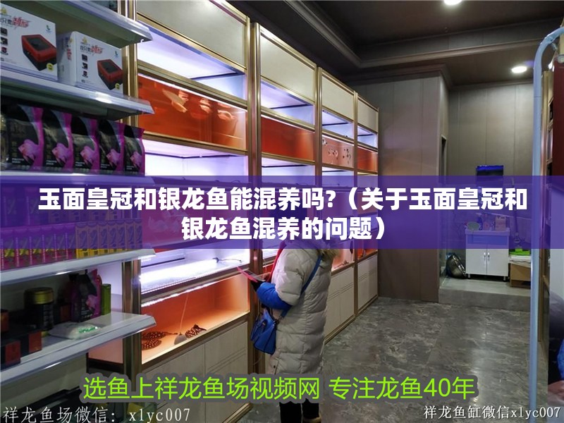 玉面皇冠和銀龍魚能混養嗎?（關于玉面皇冠和銀龍魚混養的問題）