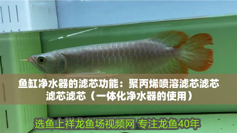 魚缸凈水器的濾芯功能：聚丙烯噴溶濾芯濾芯濾芯濾芯（一體化凈水器的使用）