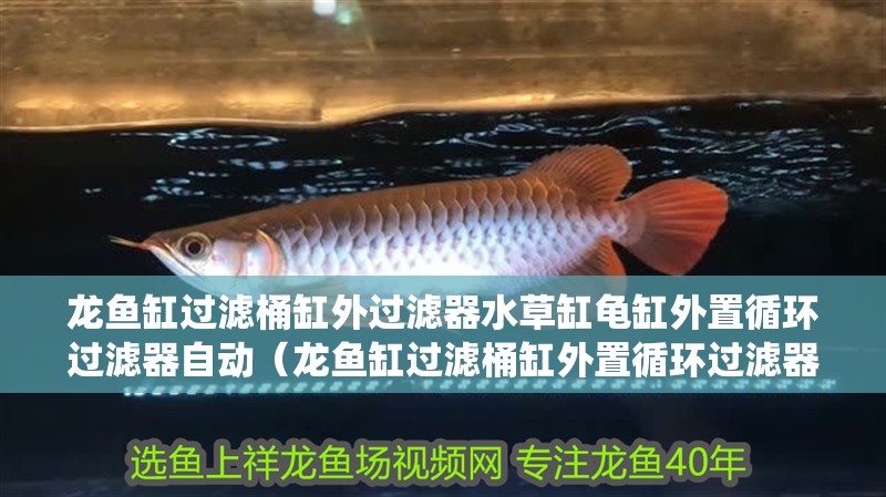龍魚缸過濾桶缸外過濾器水草缸龜缸外置循環(huán)過濾器自動（龍魚缸過濾桶缸外置循環(huán)過濾器自動是一款專為水族愛好者設(shè)計的高效過濾系統(tǒng)）