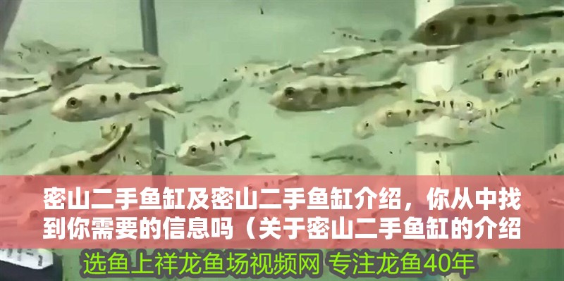 密山二手魚缸及密山二手魚缸介紹，你從中找到你需要的信息嗎（關于密山二手魚缸的介紹）