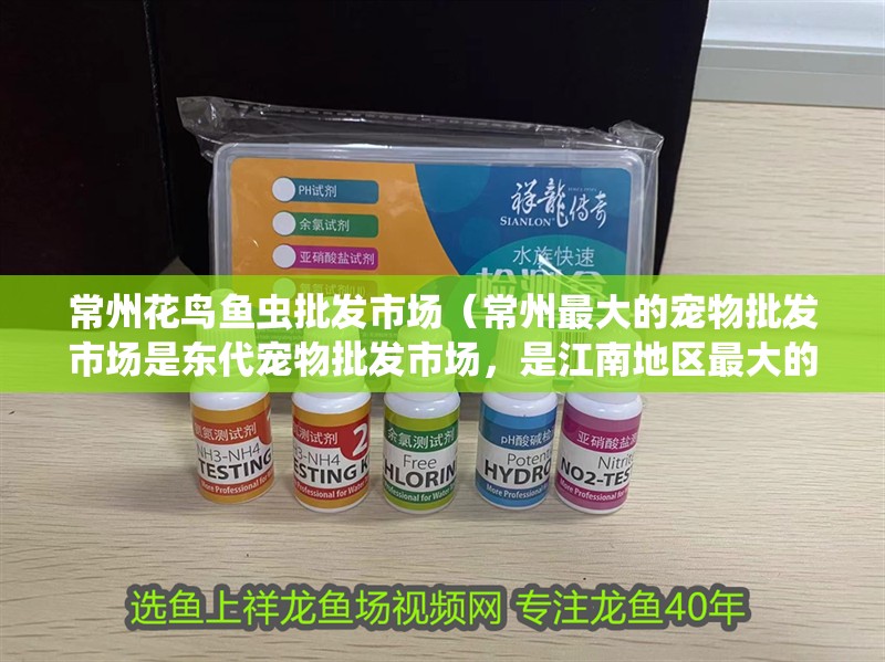 常州花鳥魚蟲批發市場（常州最大的寵物批發市場是東代寵物批發市場，是江南地區最大的一個）