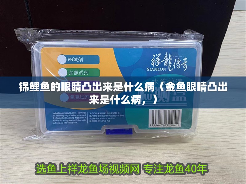 錦鯉魚的眼睛凸出來是什么病（金魚眼睛凸出來是什么病，）