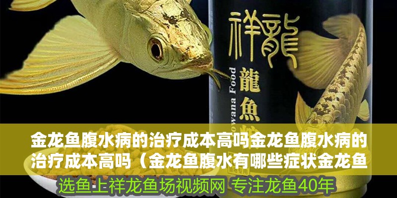 金龍魚腹水病的治療成本高嗎金龍魚腹水病的治療成本高嗎（金龍魚腹水有哪些癥狀金龍魚腹水如何預(yù)防金龍魚腹水）