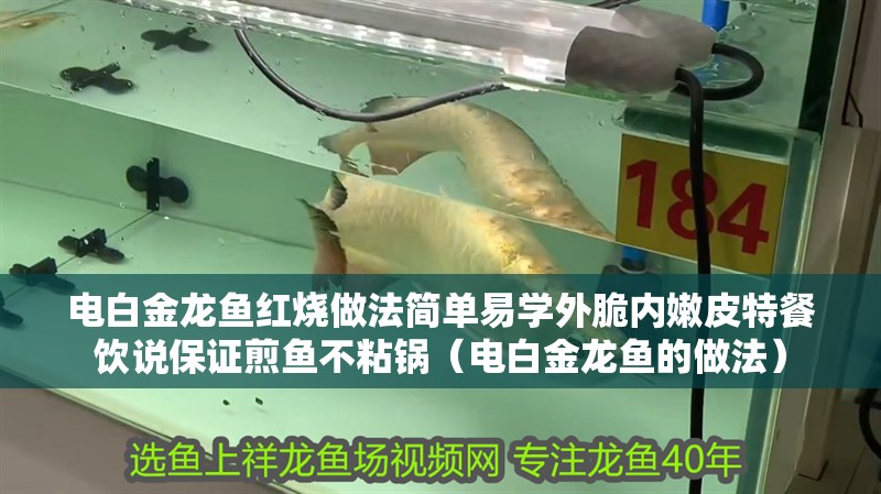 電白金龍魚紅燒做法簡單易學外脆內嫩皮特餐飲說保證煎魚不粘鍋（電白金龍魚的做法）