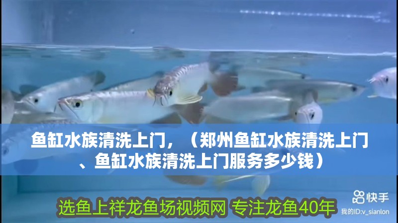 魚缸水族清洗上門，（鄭州魚缸水族清洗上門、魚缸水族清洗上門服務(wù)多少錢）