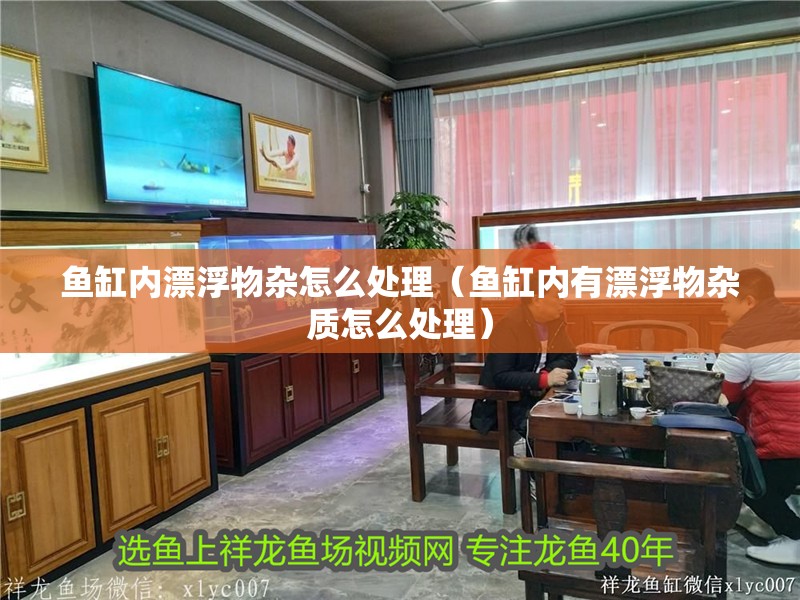 魚缸內(nèi)漂浮物雜怎么處理（魚缸內(nèi)有漂浮物雜質(zhì)怎么處理）