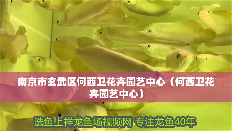 <strong><mark>南京</mark></strong>市玄武區(qū)何西衛(wèi)花卉園藝中心（何西衛(wèi)花卉園藝中心）