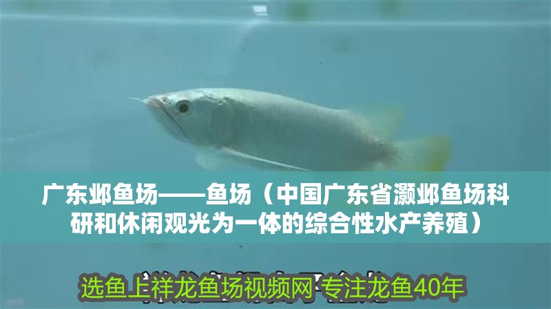 廣東鄴魚(yú)場(chǎng)——魚(yú)場(chǎng)（中國(guó)廣東省灝鄴魚(yú)場(chǎng)科研和休閑觀光為一體的綜合性水產(chǎn)養(yǎng)殖）