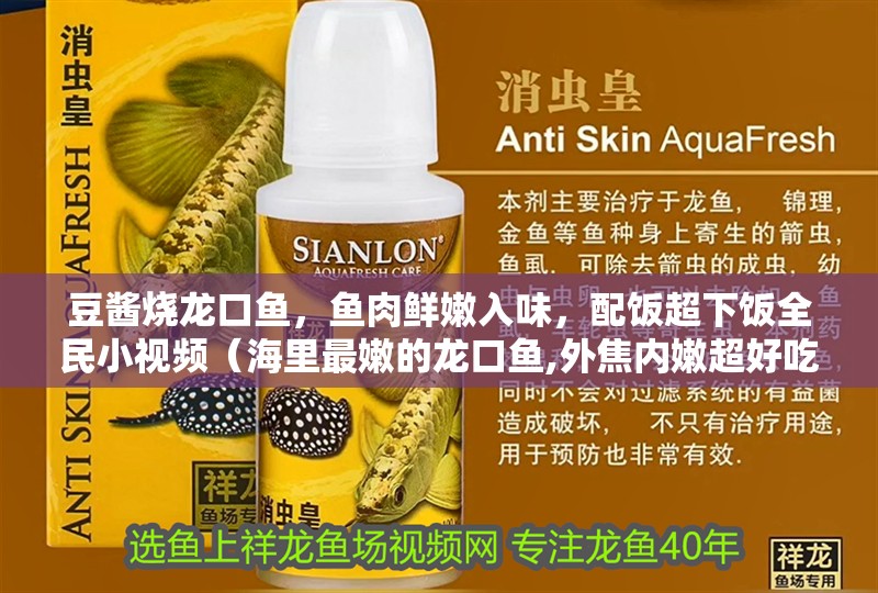 豆醬燒龍口魚，魚肉鮮嫩入味，配飯超下飯全民小視頻（海里最嫩的龍口魚,外焦內嫩超好吃）