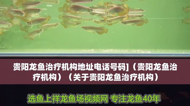 貴陽龍魚治療機構地址電話號碼]（貴陽龍魚治療機構）（關于貴陽龍魚治療機構）