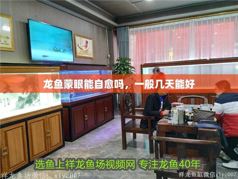 龍魚蒙眼能自愈嗎，一般幾天能好