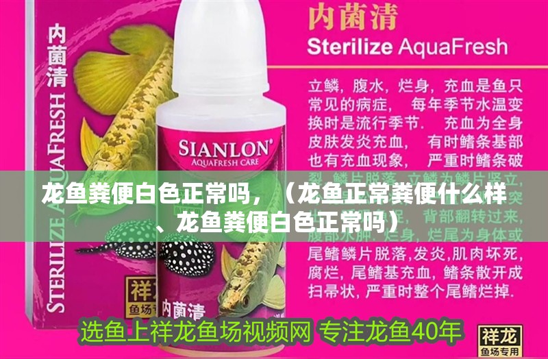 龍魚(yú)糞便白色正常嗎，（龍魚(yú)正常糞便什么樣、龍魚(yú)糞便白色正常嗎）