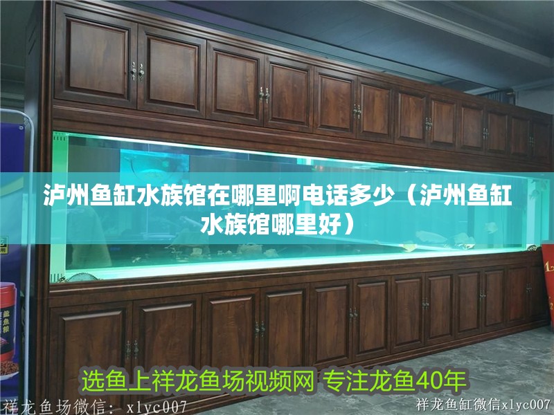 瀘州魚缸水族館在哪里啊電話多少（瀘州魚缸水族館哪里好）