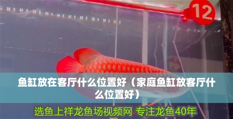魚缸放在客廳什么位置好（家庭魚缸放客廳什么位置好）