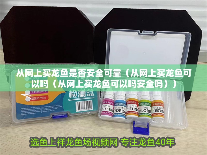 從網上買龍魚是否安全可靠（從網上買龍魚可以嗎（從網上買龍魚可以嗎安全嗎））