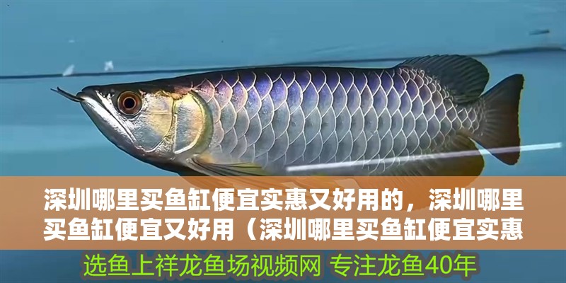 深圳哪里買魚缸便宜實惠又好用的，深圳哪里買魚缸便宜又好用（深圳哪里買魚缸便宜實惠又好用的）