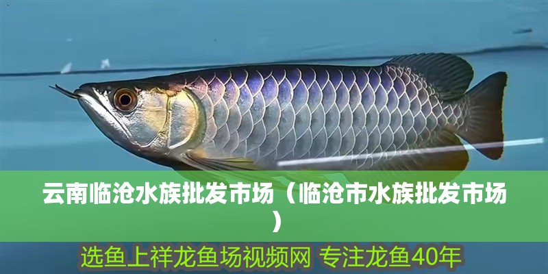云南臨滄水族批發市場（臨滄市水族批發市場）