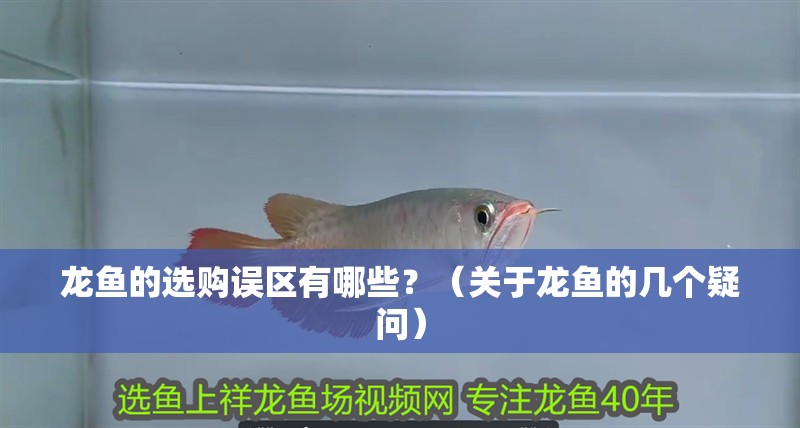龍魚的選購誤區有哪些？（關于龍魚的幾個疑問）