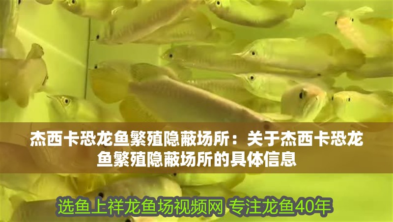 杰西卡恐龍魚(yú)繁殖隱蔽場(chǎng)所：關(guān)于杰西卡恐龍魚(yú)繁殖隱蔽場(chǎng)所的具體信息