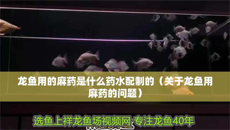 龍魚用的麻藥是什么藥水配制的（關于龍魚用麻藥的問題）