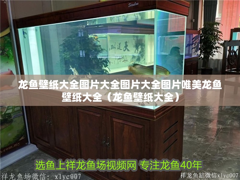 龍魚壁紙大全圖片大全圖片大全圖片唯美龍魚壁紙大全（龍魚壁紙大全）