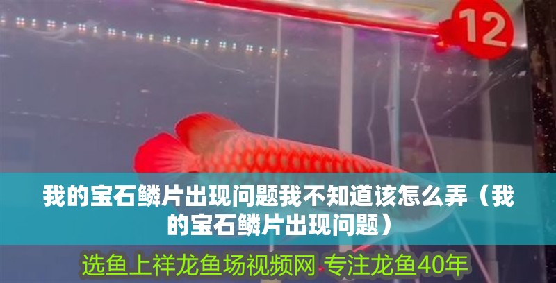 我的寶石鱗片出現(xiàn)問題我不知道該怎么弄（我的寶石鱗片出現(xiàn)問題）