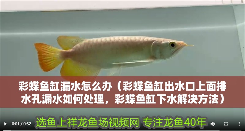 彩蝶魚缸漏水怎么辦（彩蝶魚缸出水口上面排水孔漏水如何處理，彩蝶魚缸下水解決方法）