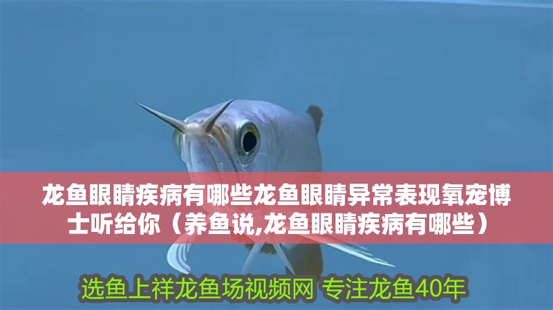龍魚眼睛疾病有哪些龍魚眼睛異常表現氧寵博士聽給你（養魚說,龍魚眼睛疾病有哪些）