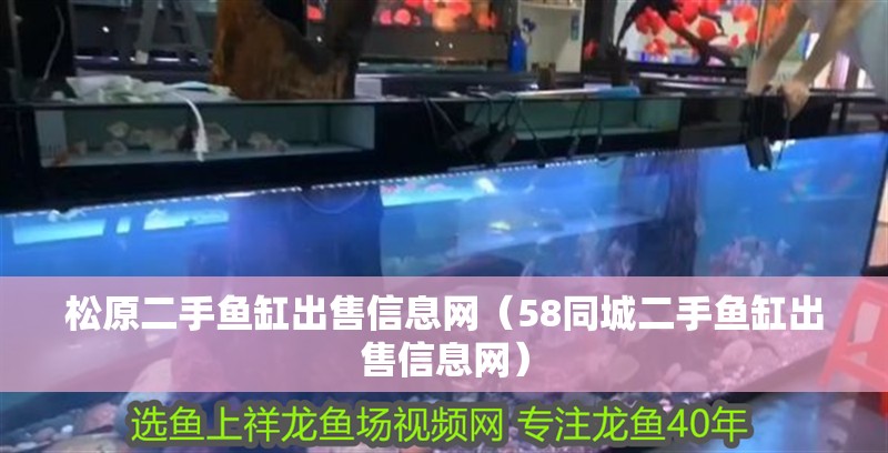 松原二手魚缸出售信息網(wǎng)（58同城二手魚缸出售信息網(wǎng)）