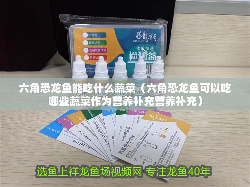六角恐龍魚能吃什么蔬菜（六角恐龍魚可以吃哪些蔬菜作為營(yíng)養(yǎng)補(bǔ)充營(yíng)養(yǎng)補(bǔ)充）