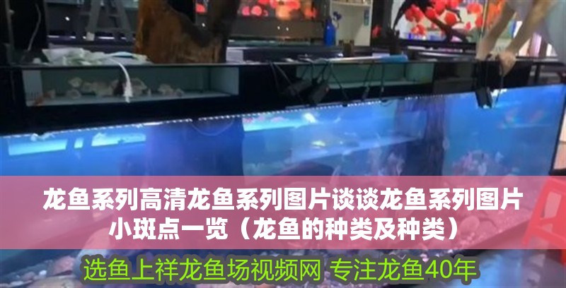 龍魚系列高清龍魚系列圖片談談龍魚系列圖片小斑點一覽（龍魚的種類及種類）