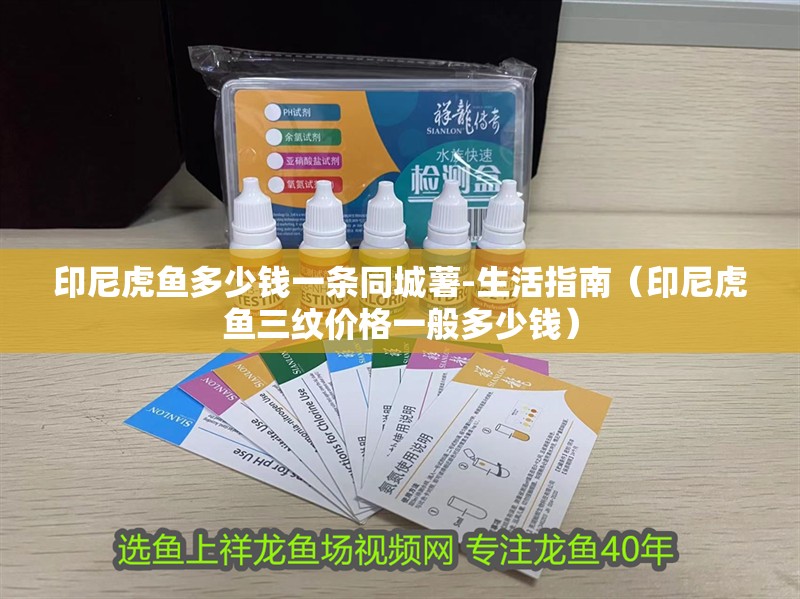 印尼虎魚多少錢一條同城薯-生活指南（印尼虎魚三紋價格一般多少錢）