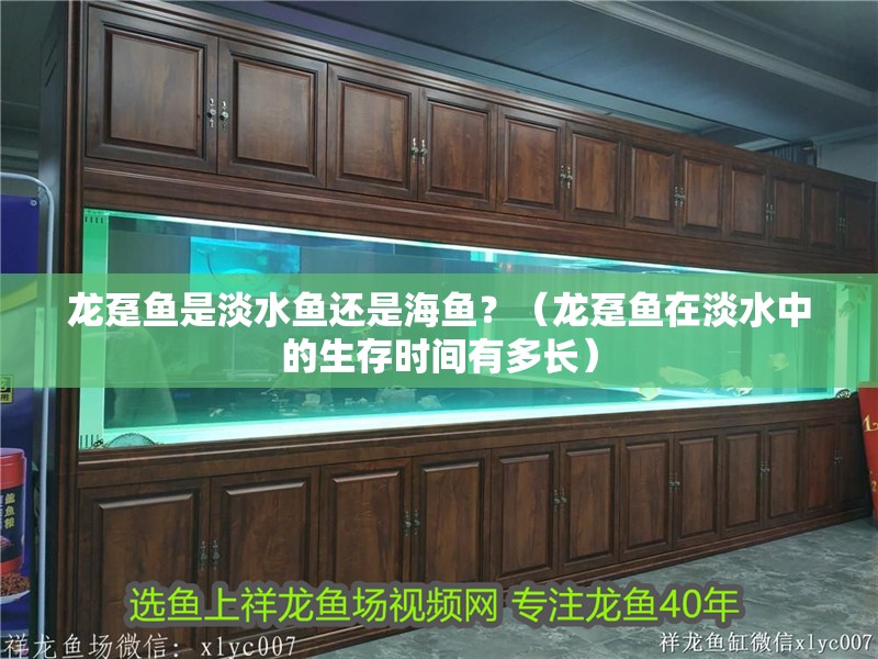 龍躉魚是淡水魚還是海魚？（龍躉魚在淡水中的生存時(shí)間有多長）