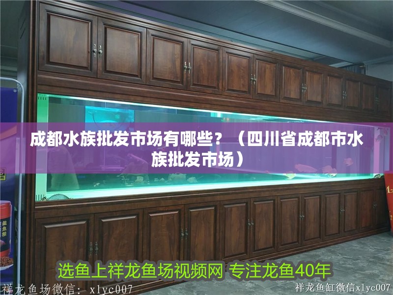 成都水族批發市場有哪些？（<strong><mark>四川</mark></strong>省成都市水族批發市場）