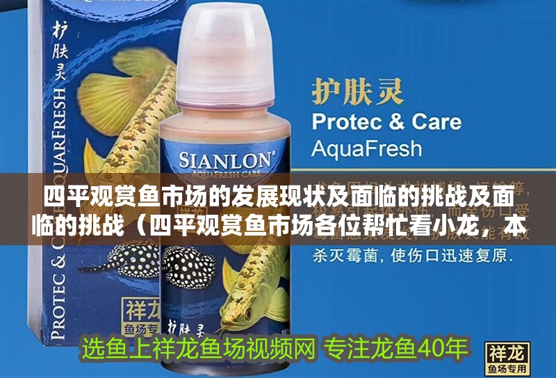四平觀賞魚市場的發展現狀及面臨的挑戰及面臨的挑戰（四平觀賞魚市場各位幫忙看小龍，本文旨在探討四平市場的發展現狀及面臨的挑戰）