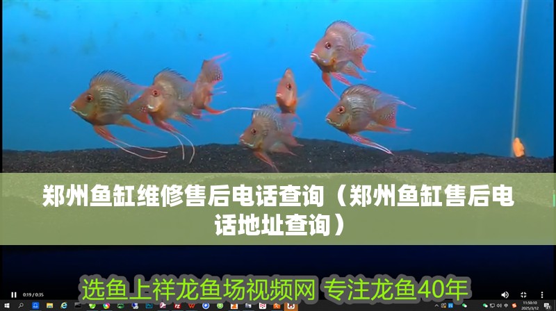 鄭州魚缸維修售后電話查詢（鄭州魚缸售后電話地址查詢）