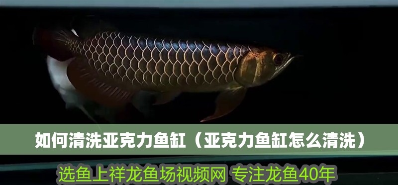 如何清洗亞克力魚缸（亞克力魚缸怎么清洗）