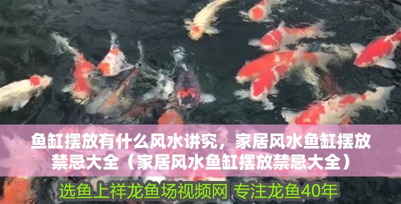 魚缸擺放有什么風水講究，家居風水魚缸擺放禁忌大全（家居風水魚缸擺放禁忌大全）