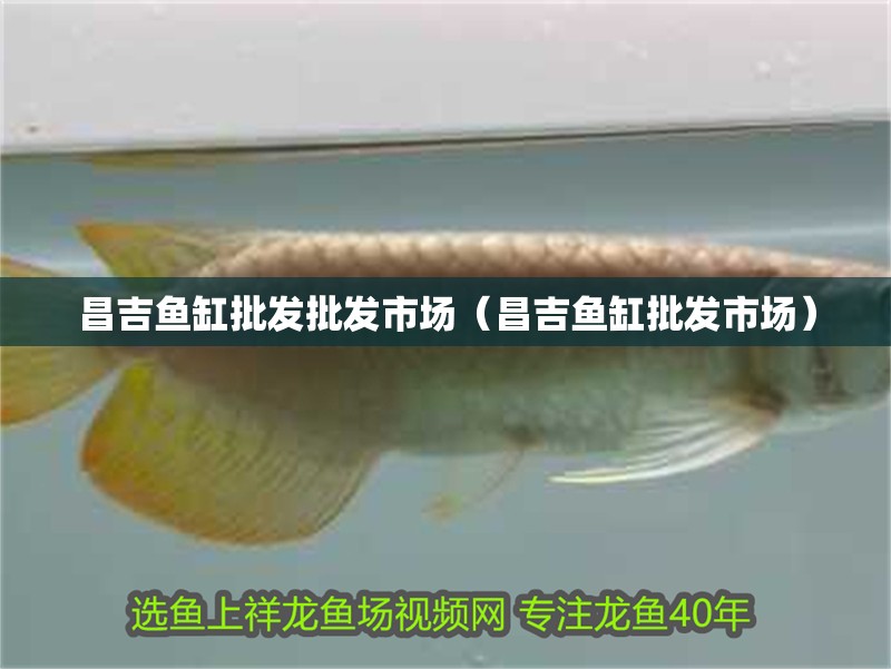 昌吉魚缸批發批發市場（昌吉魚缸批發市場）